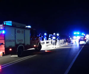 Gruszowiec. PIĘKNY jeleń potrącony przez samochód. Zwierzę nie przeżyło