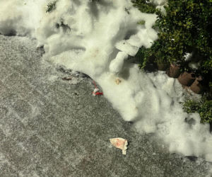 Rodzinna tragedia w Ustce. Nie żyje 4-letnia dziewczynka