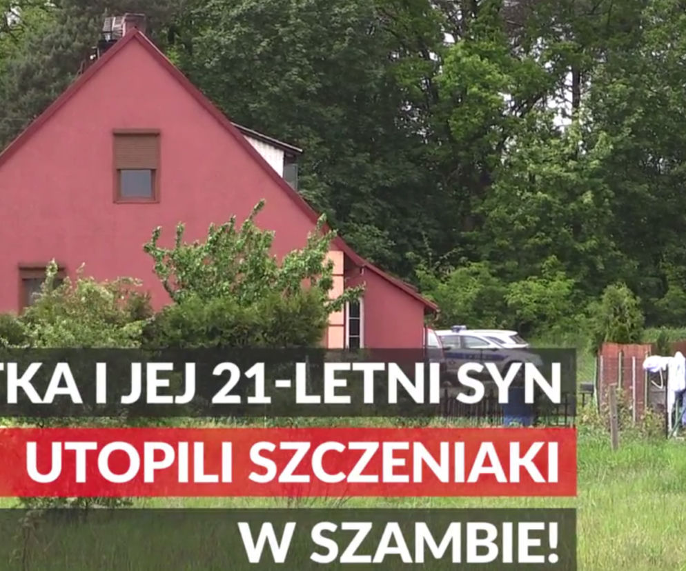 Matka i jej syn utopili szczeniaki w szambie