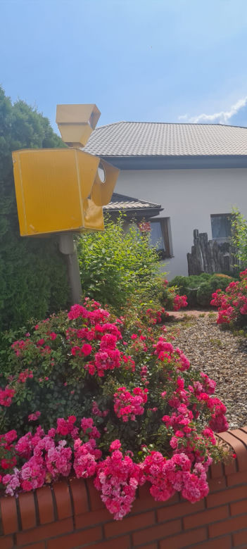 Zaradna sołtyska znalazła sposób na piratów drogowych! Jej fotoradar sieje postrach