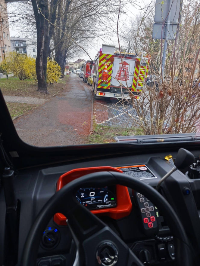 Smutny koniec poszukiwań matki i syna z Czechowic-Dziedzic