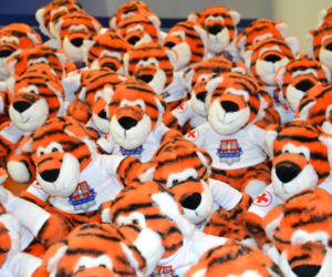 Pluszowych pomocników mają policjanci z Małopolski. Sympatyczne tygrysy cały czas w akcji!