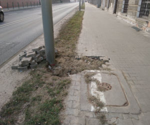Poznań: Coraz więcej nielegalnych wysypisk! Zatrważające statystyki