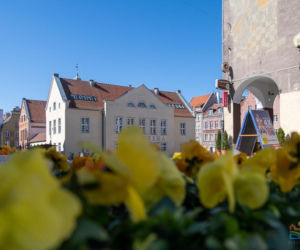 Olsztyn wraca do życia. Mimo epidemii centrum miasta rozkwita