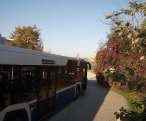 Kraków. Pasażerka na gapę złapana przez straż miejską. Jechała na dachu autobusu