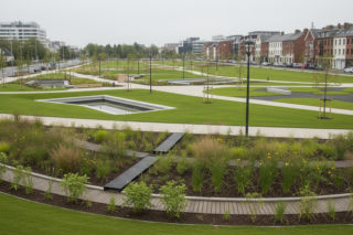 Lublin stawia na zieloną retencję. Jak ogrody deszczowe zmienią miasto?