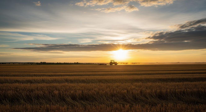 Legenda podejrzewana o potworną zbrodnię. Zginęły cztery osoby! Sprawa wraca po 20 latach