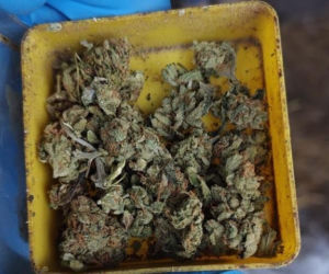 9 osób zatrzymanych i 2 kilogramy narkotyków. Monieccy Policjanci rozbili grupę handlującą środkami odurzającymi 