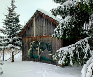 Tychów Stary. Tu historia miesza się z magią ziół. Poznaj tajemnice Chaty Szeptuchy