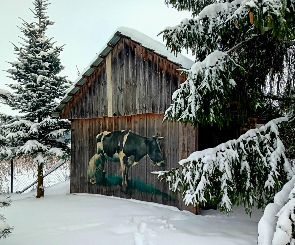 Tychów Stary. Chata Szeptuchy