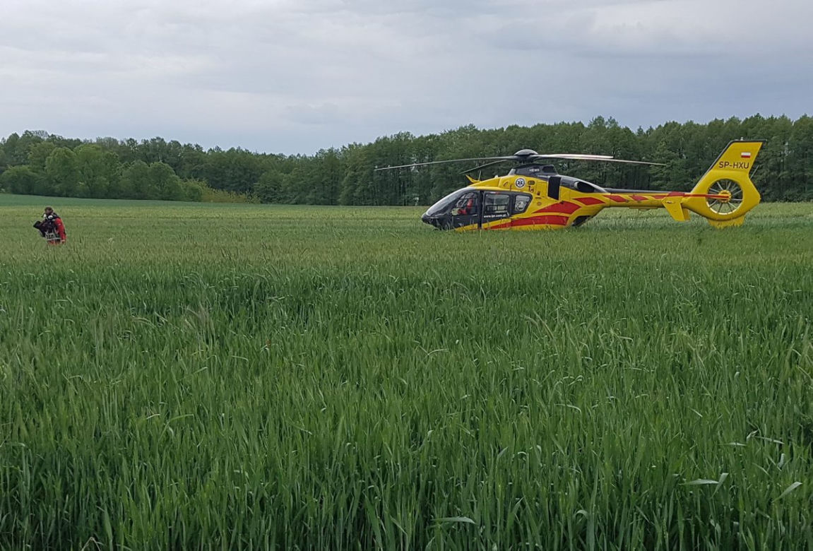 Ojciec z córką zginęli na drzewie