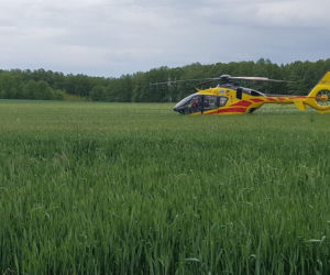 Ojciec z córką zginęli na drzewie