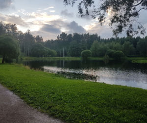 Szok! Podczas wypadku z auta wyleciały bezgłowe zwłoki. Kierowca to morderca i kanibal 