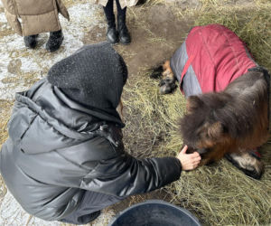Joanna Krupa odwiedza schronisko dla zwierząt