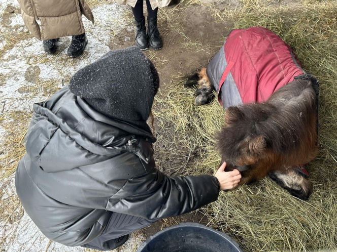 Joanna Krupa odwiedza schronisko dla zwierząt