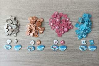 Gra planszowa: Nowa ZIemia