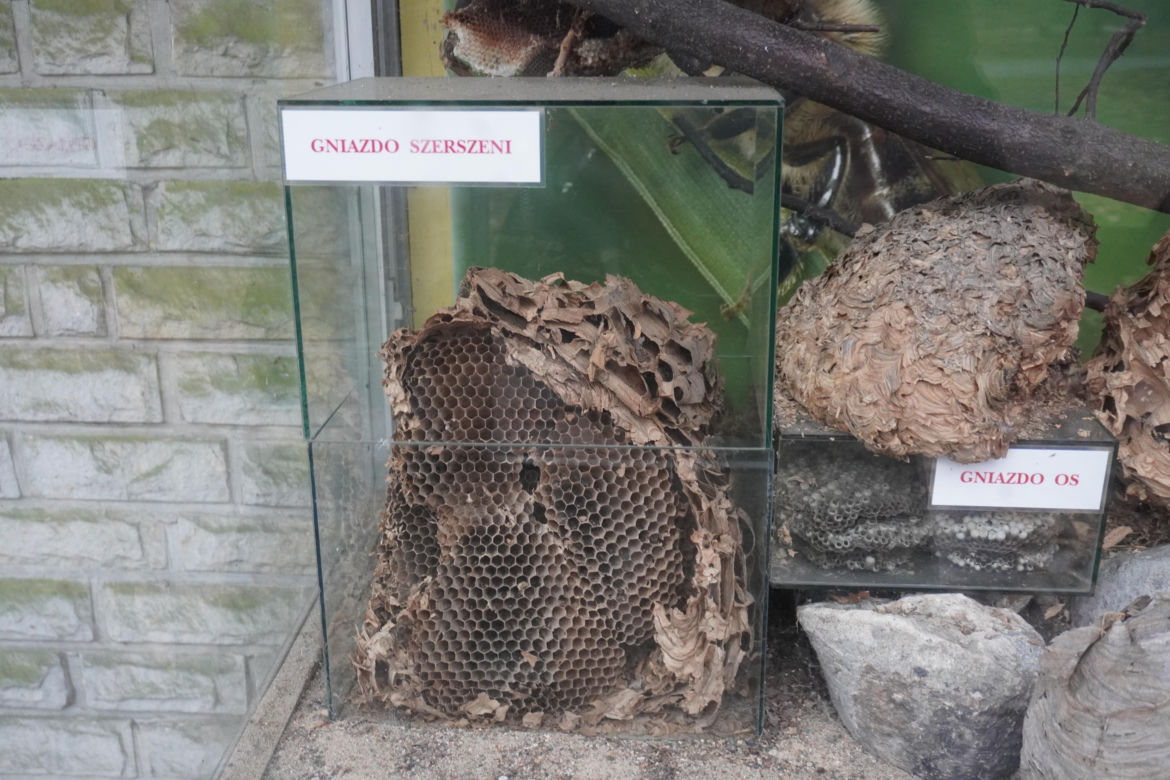 Zoo w Poznaniu zimą