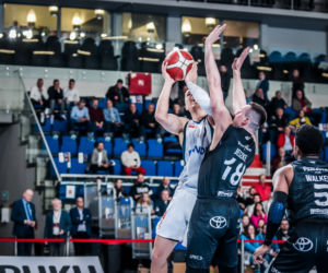 Twarde Pierniki Toruń - Polski Cukier Pszczółka Start Lublin 81:55, zdjęcia z meczu Energa Basket Ligi