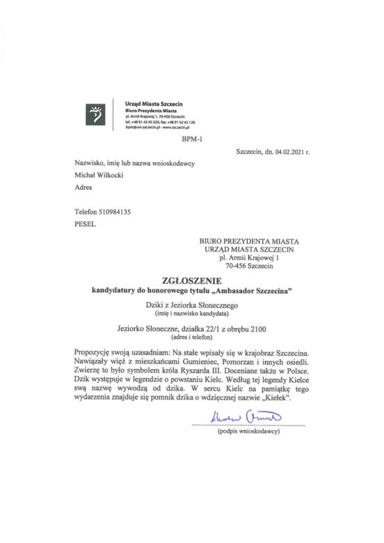 Dziki honorowymi ambasadorami Szczecina?