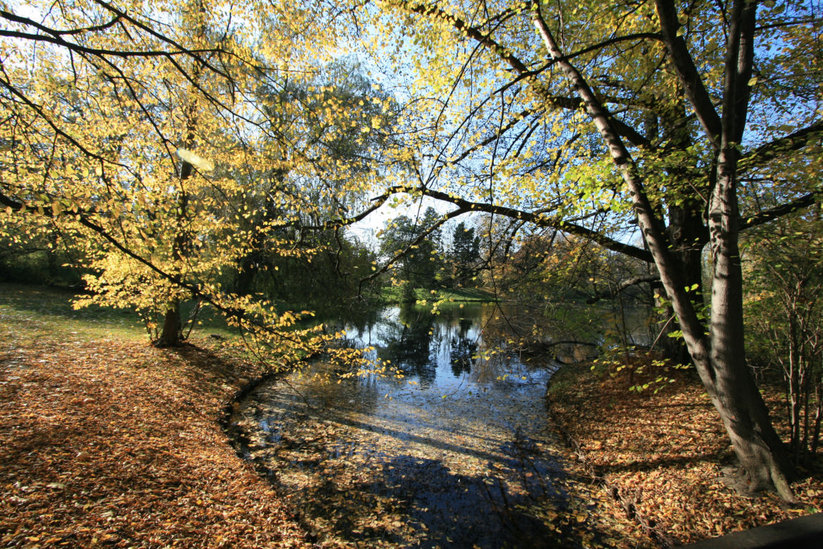 Park Skaryszewski