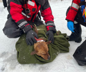 Pod psem załamał się lód. Strażacy od razu ruszyli na pomoc