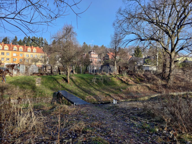 Ciało 11-letniej dziewczynki odnalezione niedaleko szkoły. Tragedia w Jeleniej Górze