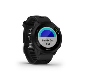 Garmin Forrunner 55