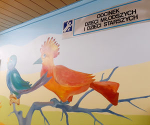 Oddział Dziecięcy w Łomży przyjmuje już małych pacjentów