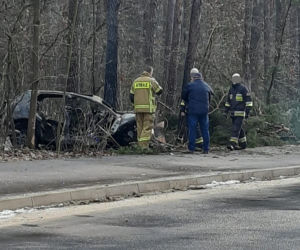 Potworny wypadek w Otwocku. Auto doszczętnie spłonęło 