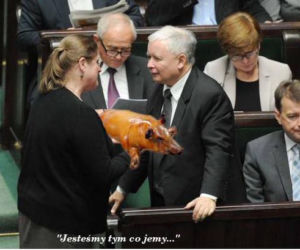 Krystyna Pawłowicz je w Sejmie MEMY
