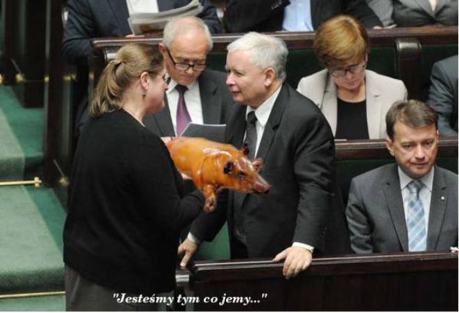 Krystyna Pawłowicz je w Sejmie MEMY
