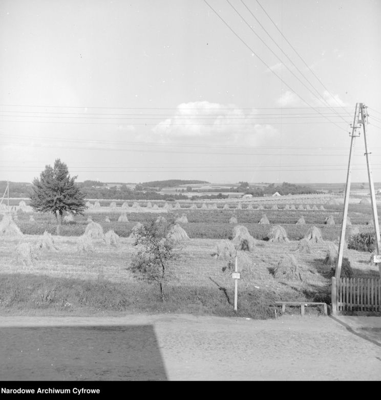 Żniwa w 1973 roku