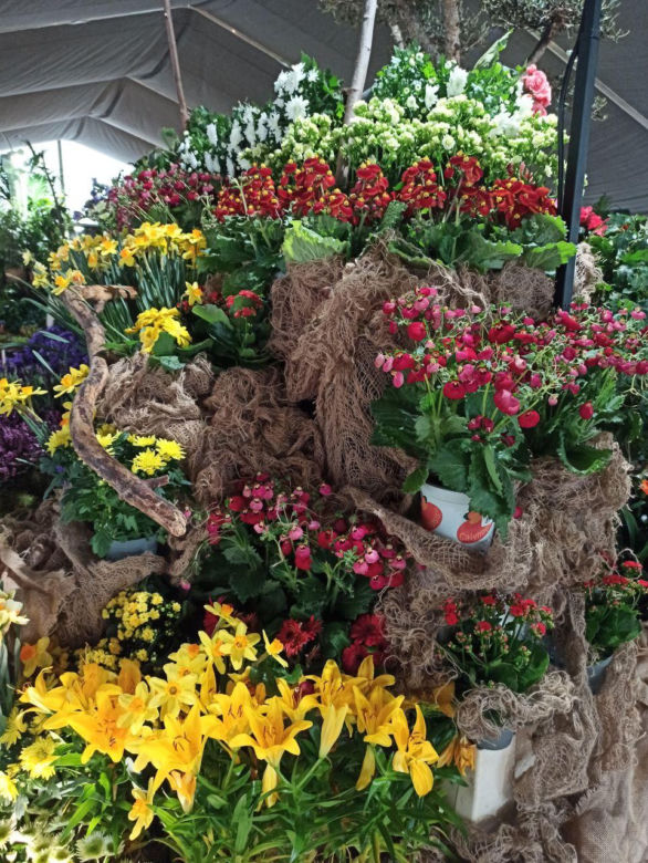 World Flower Show w Poznaniu