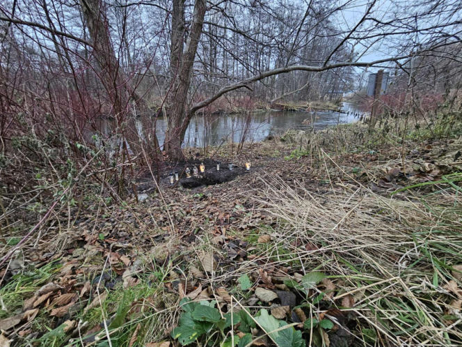 Poćwiartował ciało współlokatora i zakopał w parku! Po wszystkim napisał do matki Mateusza