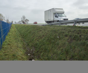 Zadźgał Dominikę i zgwałcil jej ciało