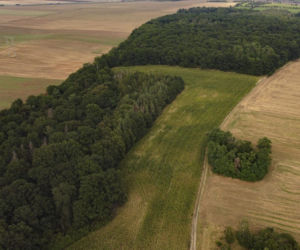 Mikołajowice. Mieszkamy na żyle złota