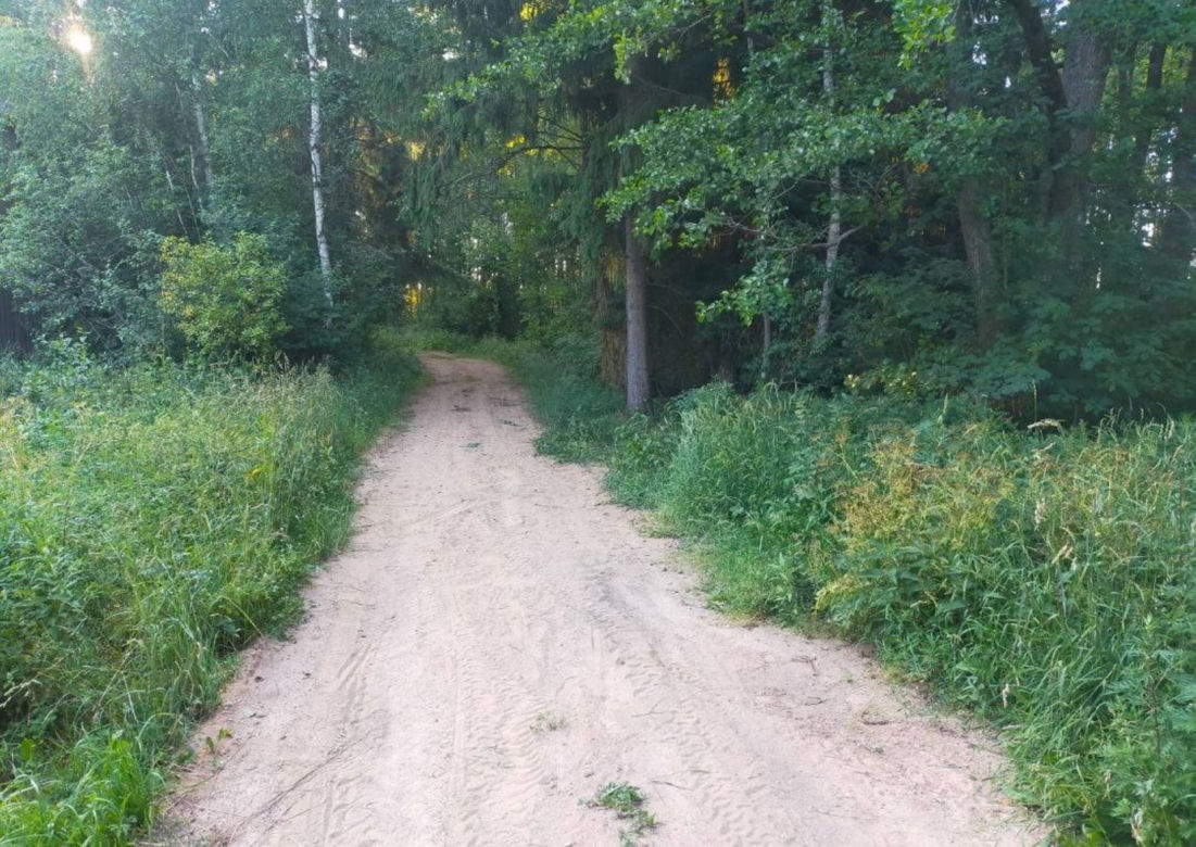 Fatalny wypadek quada pod Ostrołęką! 19-latek huknął w drzewo i zabrał go śmigłowiec [ZDJĘCIA].