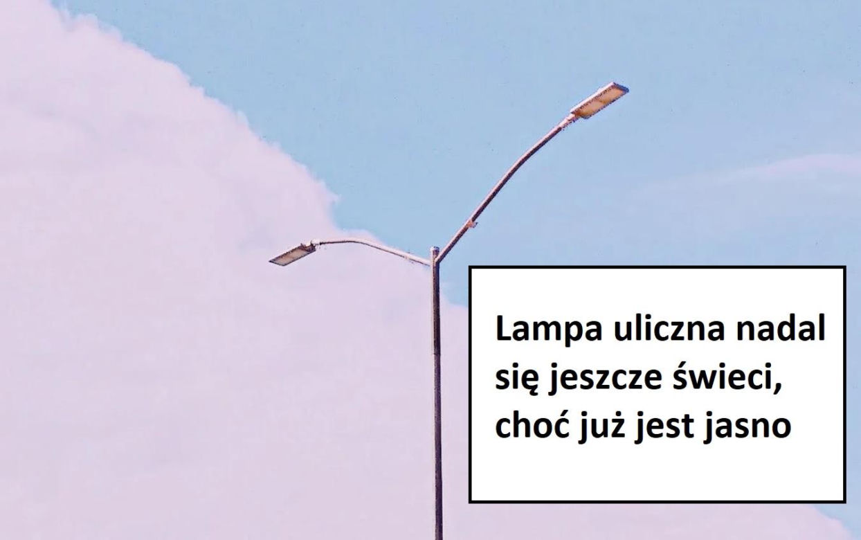 Część zgłoszeń znaleźliśmy w aplikacji "Dbamy o Bydgoszcz", a część otrzymaliśmy od ratowników medycznych