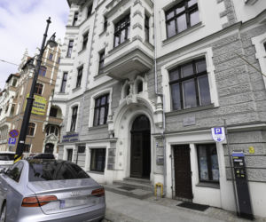 Joanna Scheuring Wielgus oddała psy do schroniska, bo chciała wynająć dom?