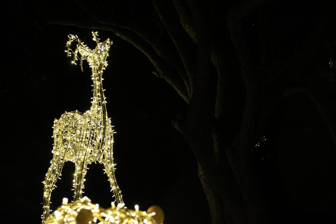 Park iluminacji 2023 w Lublinie