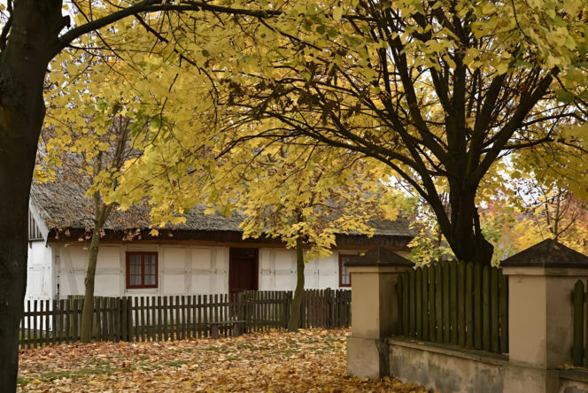 To najpiękniejszy punkt widokowy w Wielkopolsce. Przed wiekami znajdowała się tu potężna wyspa władców