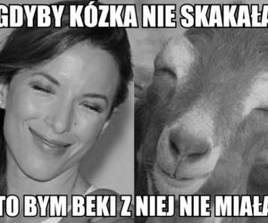 Ewa Chodakowska
