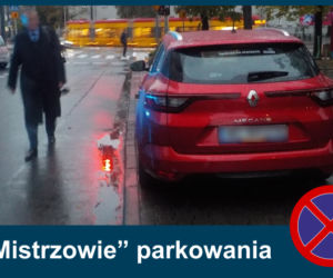 Mistrzowie parkowania. Tak kierowcy parkują w Warszawie