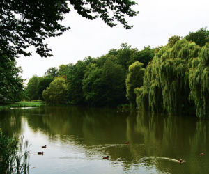 Park Oruński