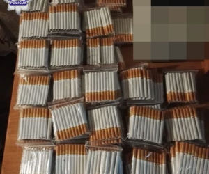 Tak wygląda NIELEGALNA fabryka papierosów. 35 MILIONÓW strat [ZDJĘCIA]