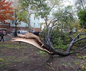 Greenpoint huragan Sandy
