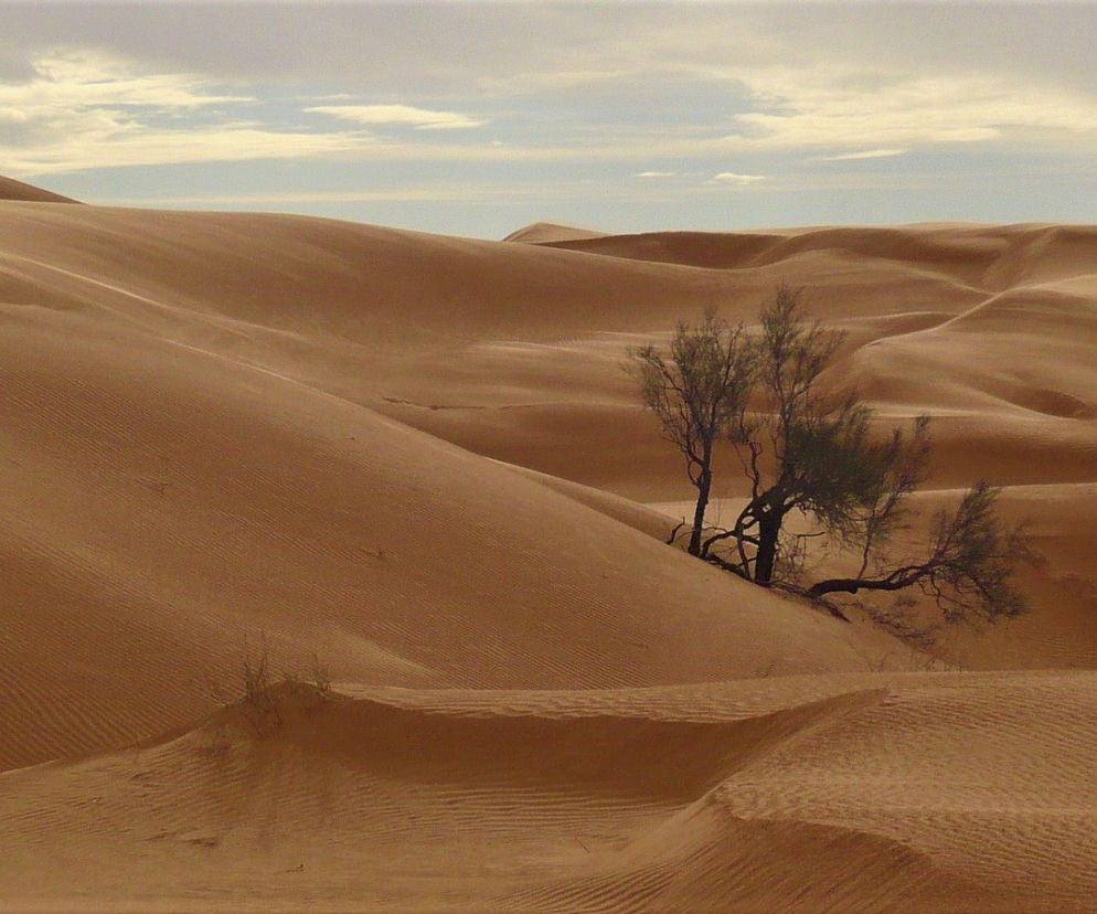 Sahara [zdjęcie ilustracyjne]