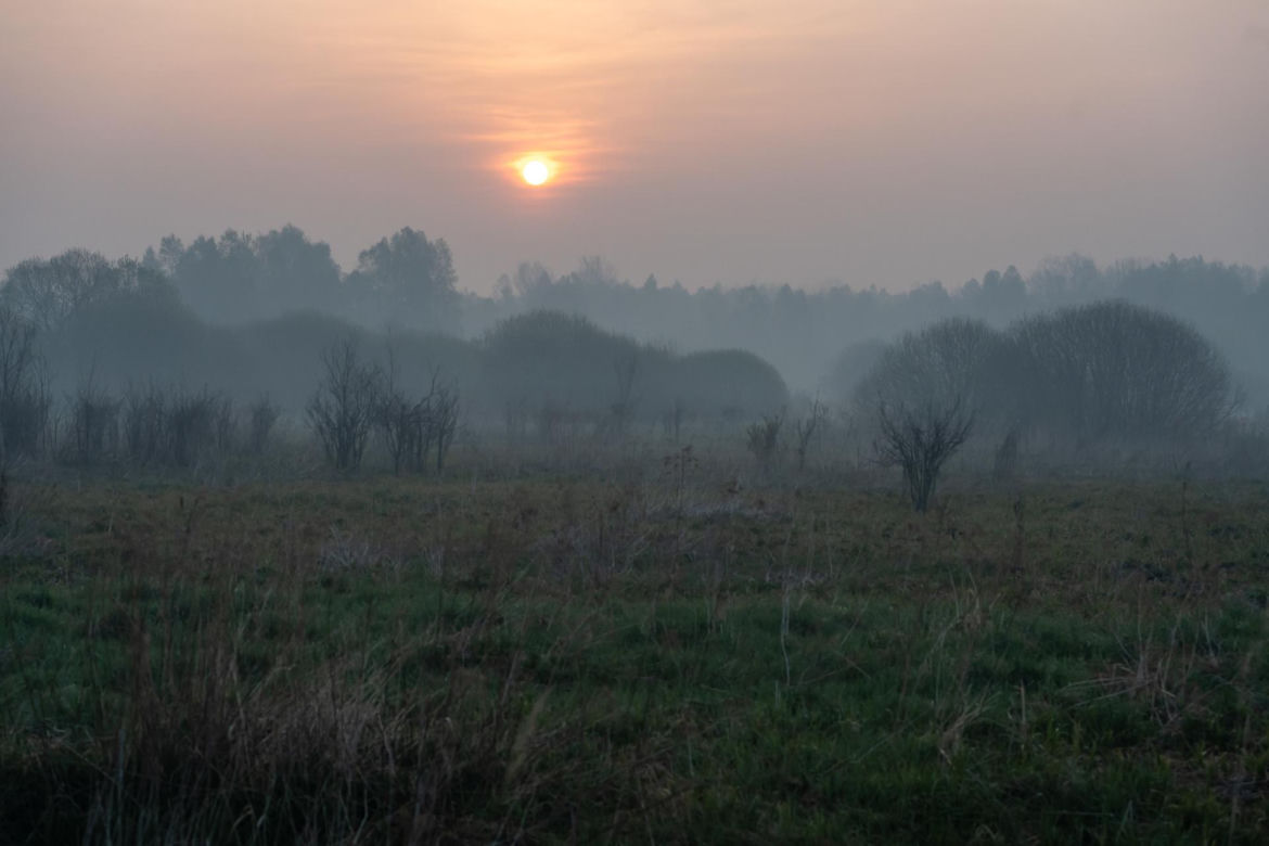 Roztoczański Park Narodowy zamknięty! Puszcza Solska w ogniu