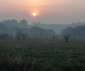 Roztoczański Park Narodowy zamknięty! Puszcza Solska w ogniu
