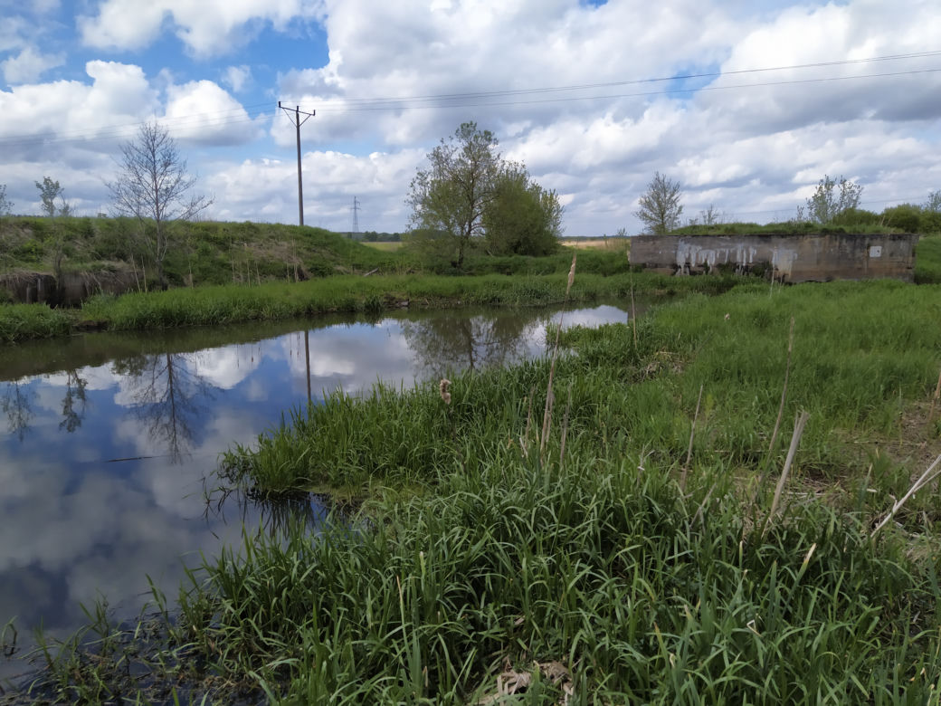 Sprzątanie mostu kolejowego nad rzeką Muchawką - 15.05.2021